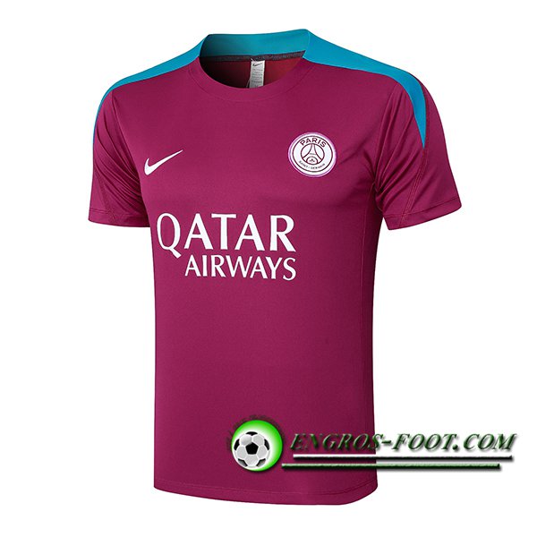 Training T-Shirts PSG Pourpre/Bleu 2024/2025