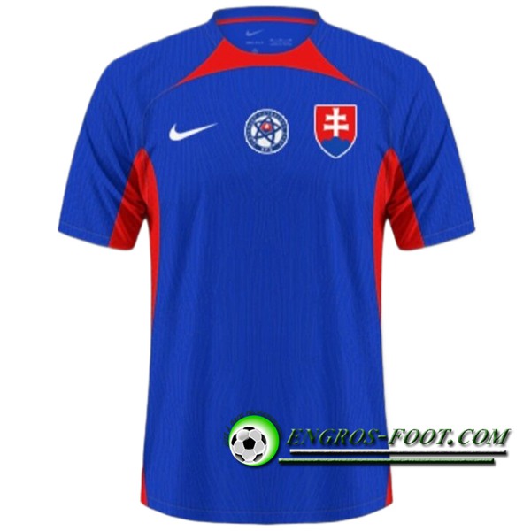 Maillot Equipe Foot Slovaquie Domicile 2024/2025