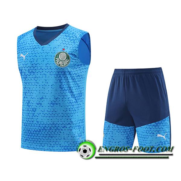 Ensemble Training Debardeur Palmeiras Bleu 2024/2025