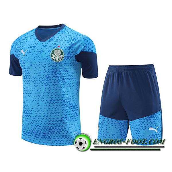 Ensemble Training T-Shirts Palmeiras Bleu 2024/2025