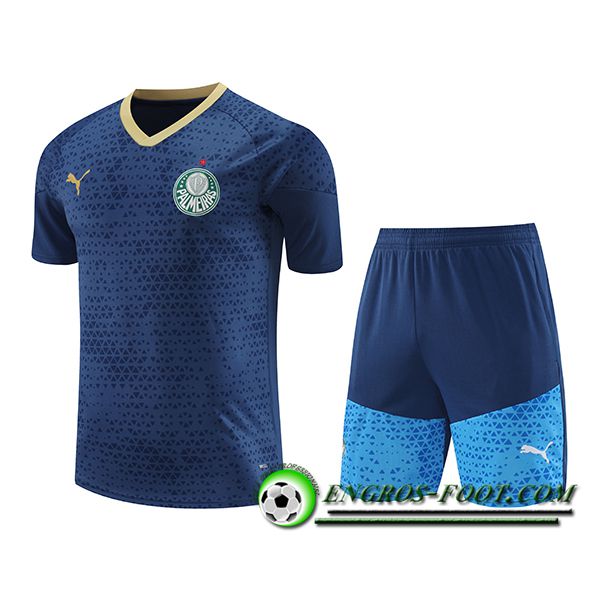 Ensemble Training T-Shirts Palmeiras Bleu Marine 2024/2025