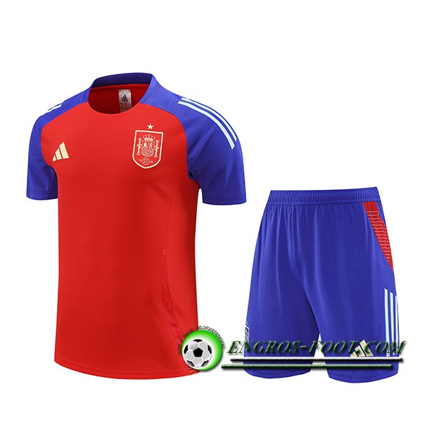 Ensemble Training T-Shirts Espagne Rouge/Ble 2024/2025