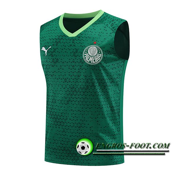 Training Debardeur Palmeiras Vert 2024/2025