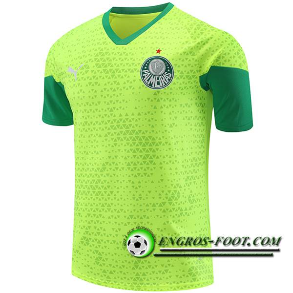 Training T-Shirts Palmeiras Vert/Jaune 2024/2025