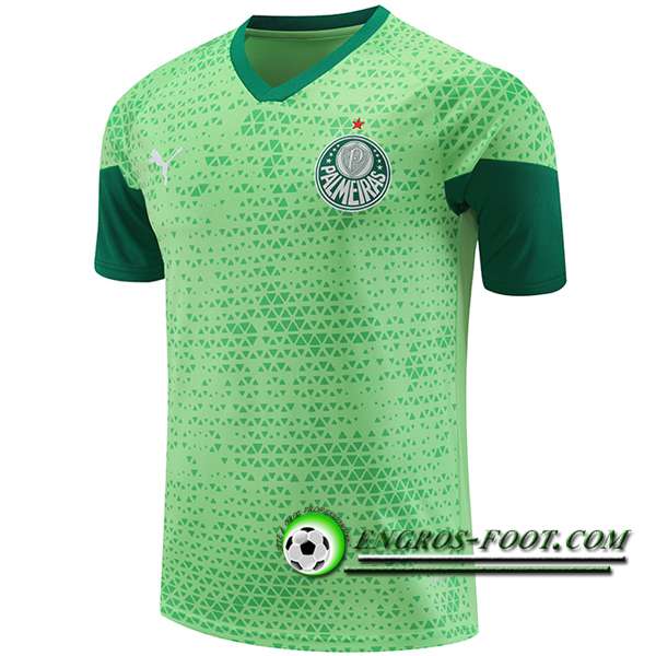 Training T-Shirts Palmeiras Vert 2024/2025 -04