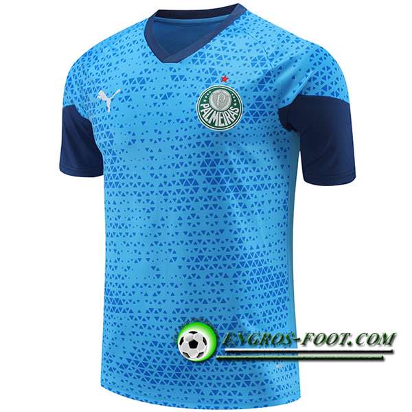 Training T-Shirts Palmeiras Bleu 2024/2025