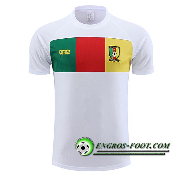 Training T-Shirts Cameroun Blanc 2024/2025