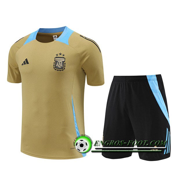 Ensemble Training T-Shirts Argentin Jaune/Bleu 2024/2025