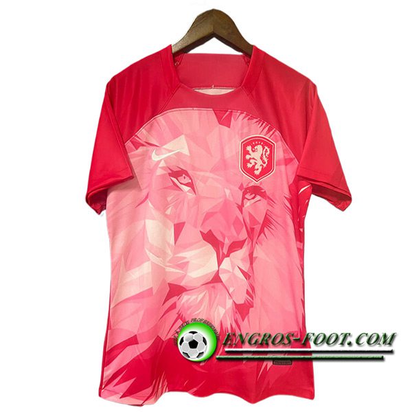 Maillot Equipe Foot Pays-Bas Special Edition Rose 2024/2025
