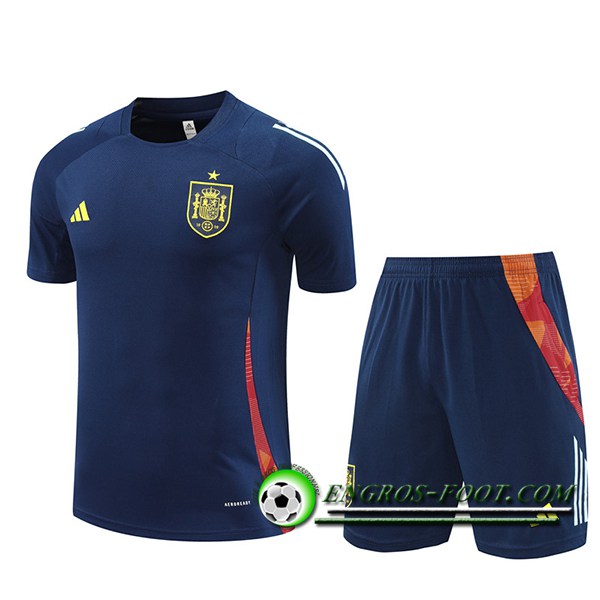 Ensemble Training T-Shirts Espagne Bleu Royal 2024/2025