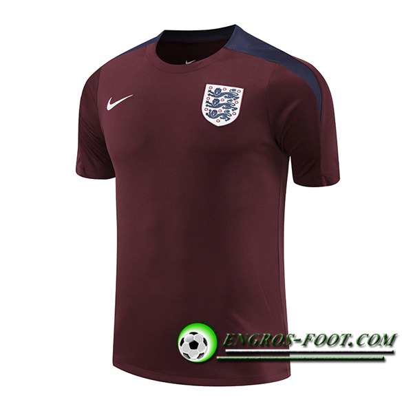 Training T-Shirts Angleterre Rouge/Bleu 2024/2025