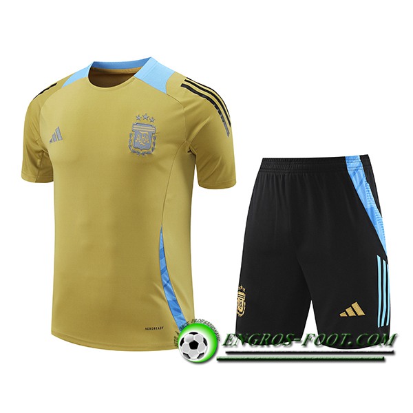 Ensemble Training T-Shirts Argentine Jaune/Bleu 2024/2025