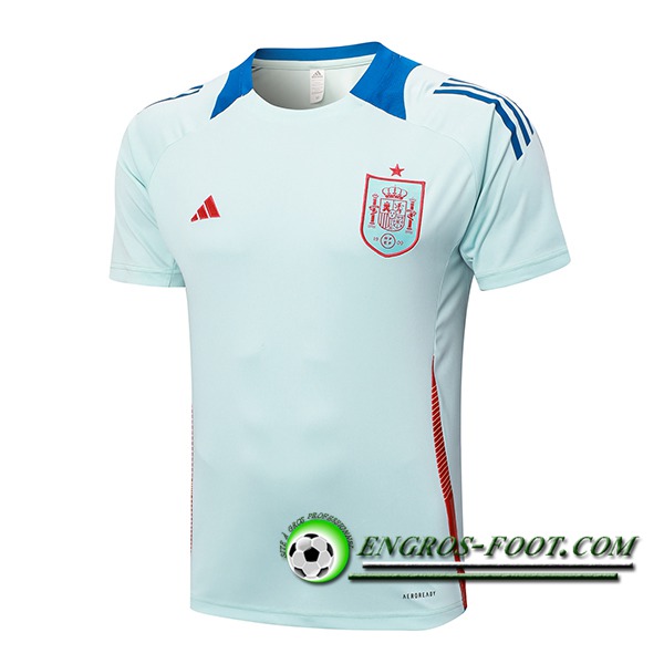 Training T-Shirts Espagne Bleu Clair 2024/2025