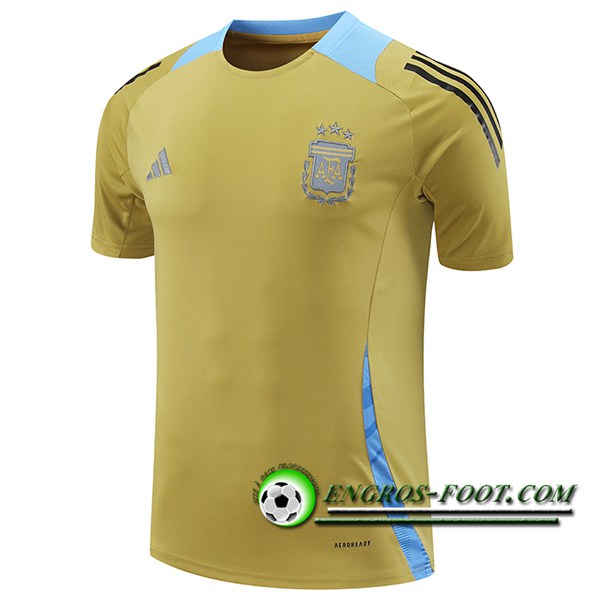 Training T-Shirts Argentine Jaune/Bleu 2024/2025