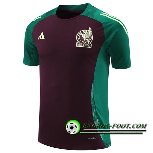 Training T-Shirts Mexique Vert/Brun 2024/2025