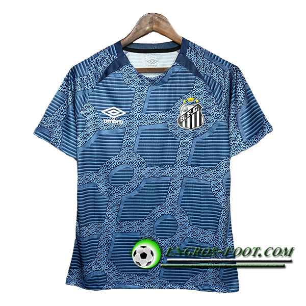 Training T-Shirts Santos Bleu 2024/2025
