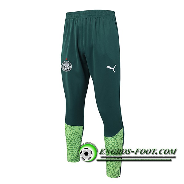 Pantalon Foot Palmeiras Vert 2024/2025