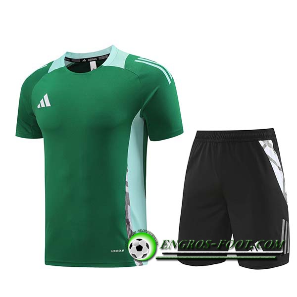 Ensemble Training T-Shirts Adidas Vert 2024/2025