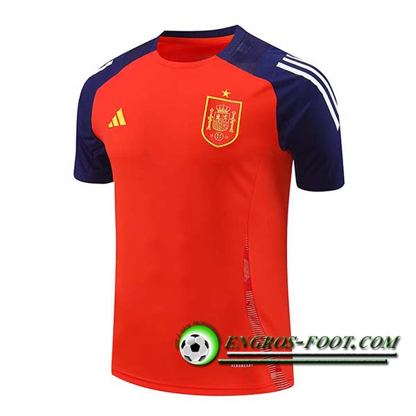 Training T-Shirts Espagne Rouge/Bleu 2024/2025