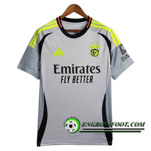 Training T-Shirts S.L.Benfica Gris/Noir/Vert 2024/2025