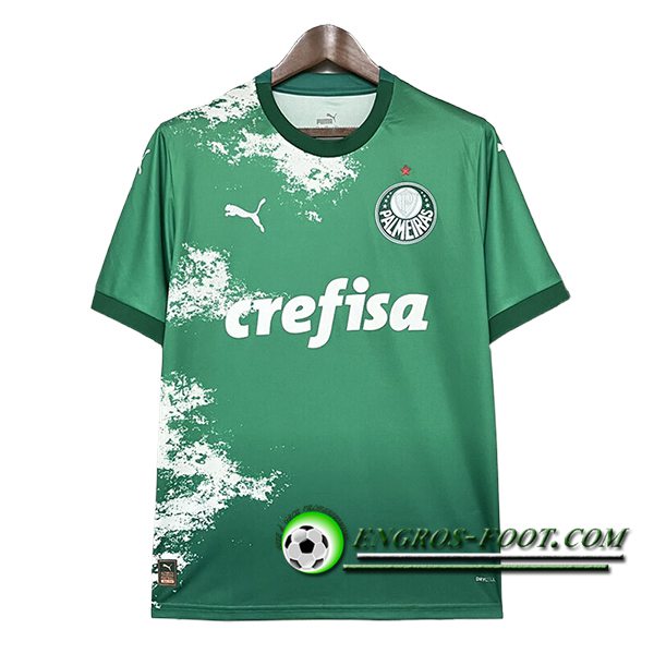 Maglie Calcio Palmeiras Special Edition Verde 2024/2025 -02