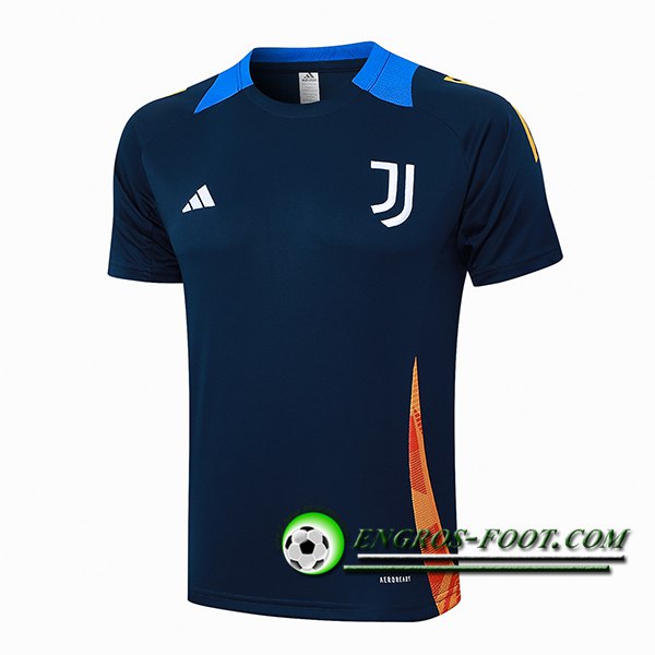 Training T-Shirts Juventus Bleu Royal 2024/2025