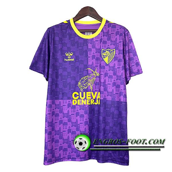 Training T-Shirts Malaga CF Pourpre/Jaune 2024/2025