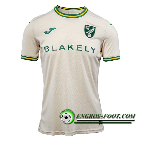 Nouveau Maillot de Foot Norwich City Third 2024/2025