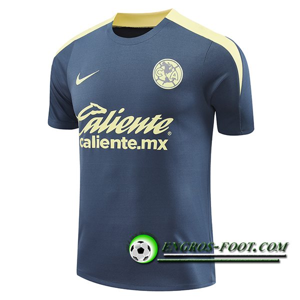 Training T-Shirts Club America Gris/Jaune 2024/2025