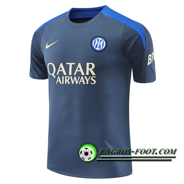 Training T-Shirts Inter Milan Gris/Bleu 2024/2025