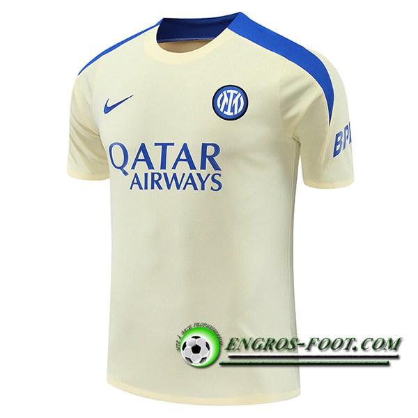 Training T-Shirts Inter Milan Jaune/Bleu 2024/2025