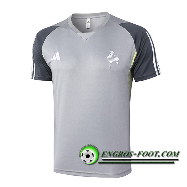 Training T-Shirts Atletico Mineiro Gris 2024/2025