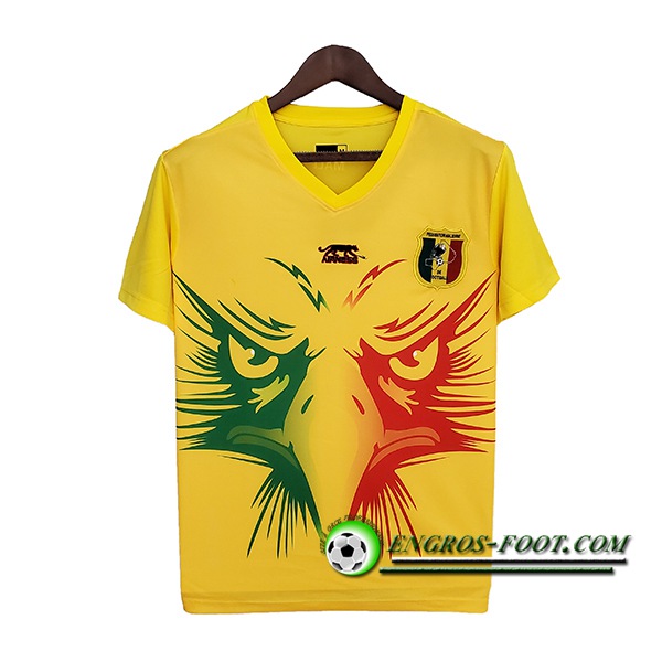 Maillot Equipe Foot Mali Special Edition 2022 -2