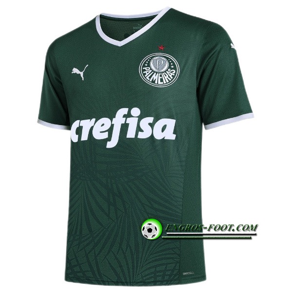 Maillot de Foot Palmeiras Domicile 2022/2023